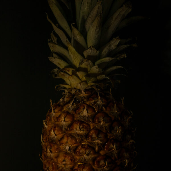 Csendélet és Tárgy